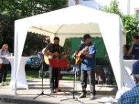 IMG 0004